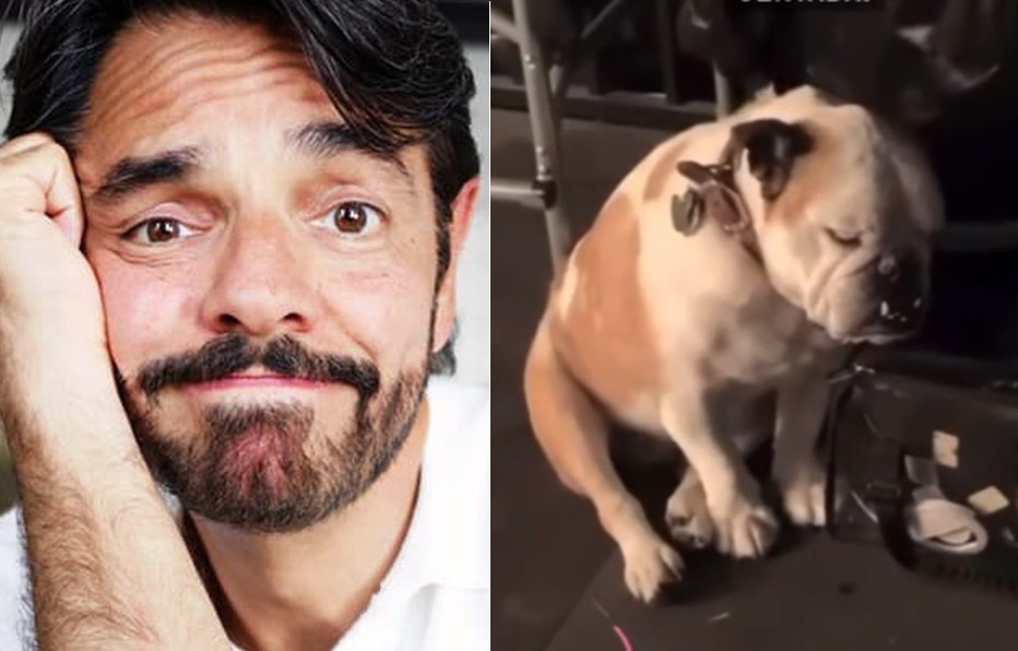 Eugenio Derbez sube video de su mascota y lo acusan de maltrato animal