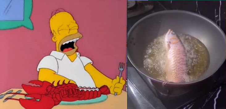¡Mojarras fritas!, mujer cocina el pez mascota de su esposo por no limpiarle el tanque