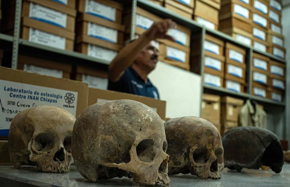 Hallan 150 cráneos en un altar Maya en Chiapas y lo confundieron con una narcofosa