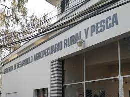 ‘Tío Fide’ compró maíz y se fue sin pagar, ahora Sedarpa debe más de 26 millones de pesos