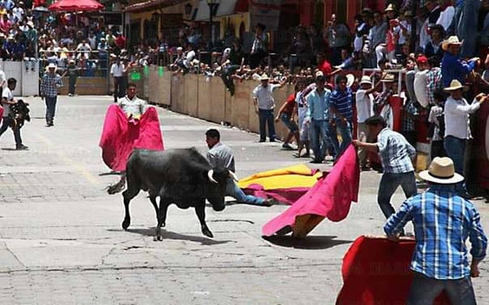Activistas denunciarán al ayuntamiento de Xico si hace la tradicional ‘Xiqueñada’