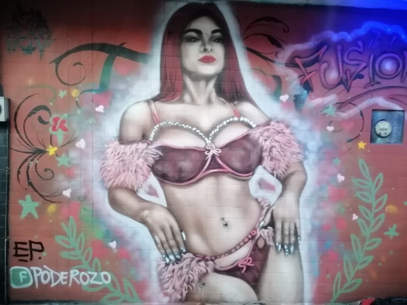 Artista plástico pinta mural de Karely Ruiz y embellece espacios abandonados en Veracruz