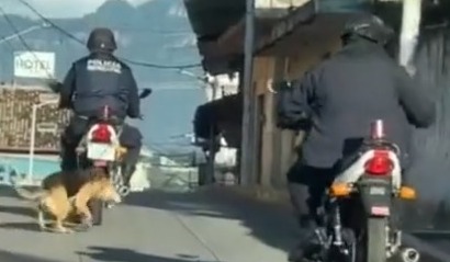 Policía arrastra un perro en moto y usuarios de internet piden lo sancionen