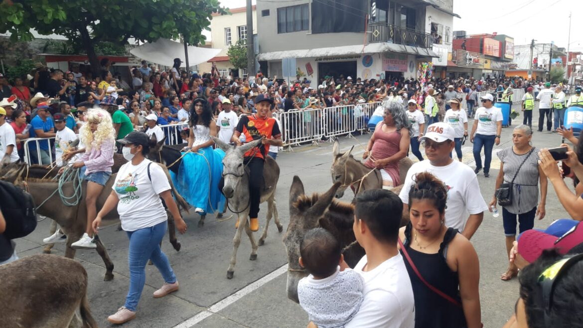 Este fin de semana celebrará el famosos ‘Encierro de Burros’ en Alvarado